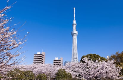 <b>SKYTREE, TOKIO (JAPÓN) / NIKKEN SEKKEI. </b>Acabada en 2012, esta torre de radiodifusión en el barrio de Sumida fue bautizada Tokyo Skytree (Árbol en el cielo de Tokio) por votación popular. Mide 634 metros y tiene dos miradores a 350 y 450 metros de altura, siendo el segundo uno de los más altos del mundo.