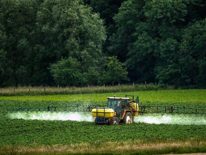 Aplicación de pesticidas en una explotación agrícola de Bailleul, en el norte de Francia.