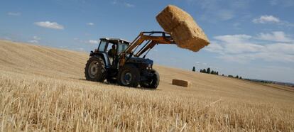 Un tractor recoge las pacas de paja de un campo cosechado cerca de Zamora. 