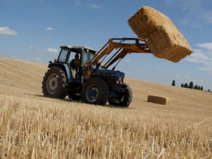 Un tractor recoge las pacas de paja de un campo cosechado cerca de Zamora.