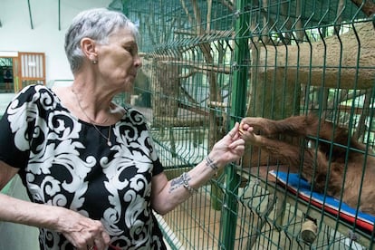 Judy Avey-Arroyo, dueña del Santuario de Perezosos de Costa Rica en la provincia de Limón, supervisa la recuperación de un ejemplar el 10 de marzo de 2023.