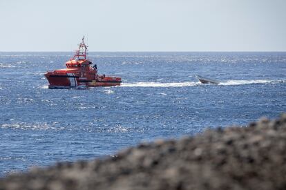 La Guardamar Caliope pasa de largo por el exterior del puerto de La Restinga, llevando a bordo a más de 60 personas migrantes y arrastrando la patera de la que han sido rescatados, este martes.