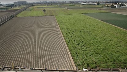 Parcelas de huerta en producción.