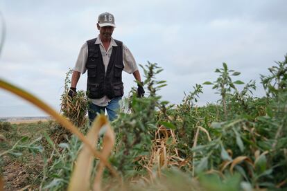 agricultores españa