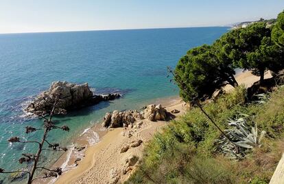 <b>CALA ROCA GROSSA</b> (Calella). Aquesta cala, també anomenada platja de la Cabra, té unes grans roques que la divideixen en dos sectors. La part més propera a Calella és la més llarga i s’hi practica nudisme, mentre que l’altre cantó té un ambient més familiar. La cala té una sorra de gra gruixut, una longitud de 130 metres i una amplada de 28 metres. S’hi pot arribar amb cotxe o amb tren, baixant a l’estació de rodalies de Calella de Mar.