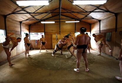 Los luchadores pasan tres horas de entrenamiento matinal practicando las tomas reglamentarias de este deporte de 15 siglos de historia, en el que el primero que cae o sale de la lona pierde. Luchadores durante uno sesión de entrenamiento.