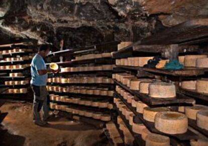 Proceso de curación en la cueva del Teyedu, en Tielve de Cabrales.