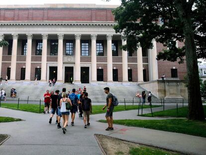 Imagen de estudiantes en agosto de 2019 fuera de la biblioteca de la Universidad de Harvard, Cambridge.