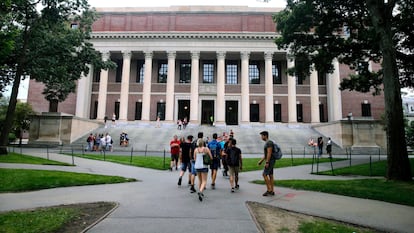 Imagen de estudiantes en agosto de 2019 fuera de la biblioteca de la Universidad de Harvard, Cambridge.