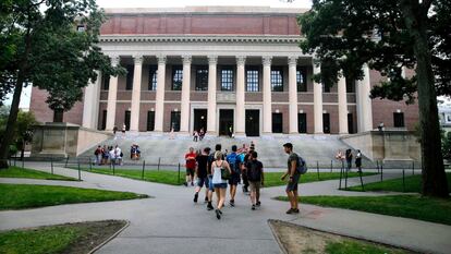 Imagen de estudiantes en agosto de 2019 fuera de la biblioteca de la Universidad de Harvard, Cambridge.