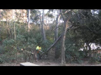 Los efectos del temporal en Barcelona