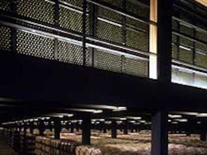 Botellero y barricas en la bodega Juan Alcorta, en Logroño (La Rioja).