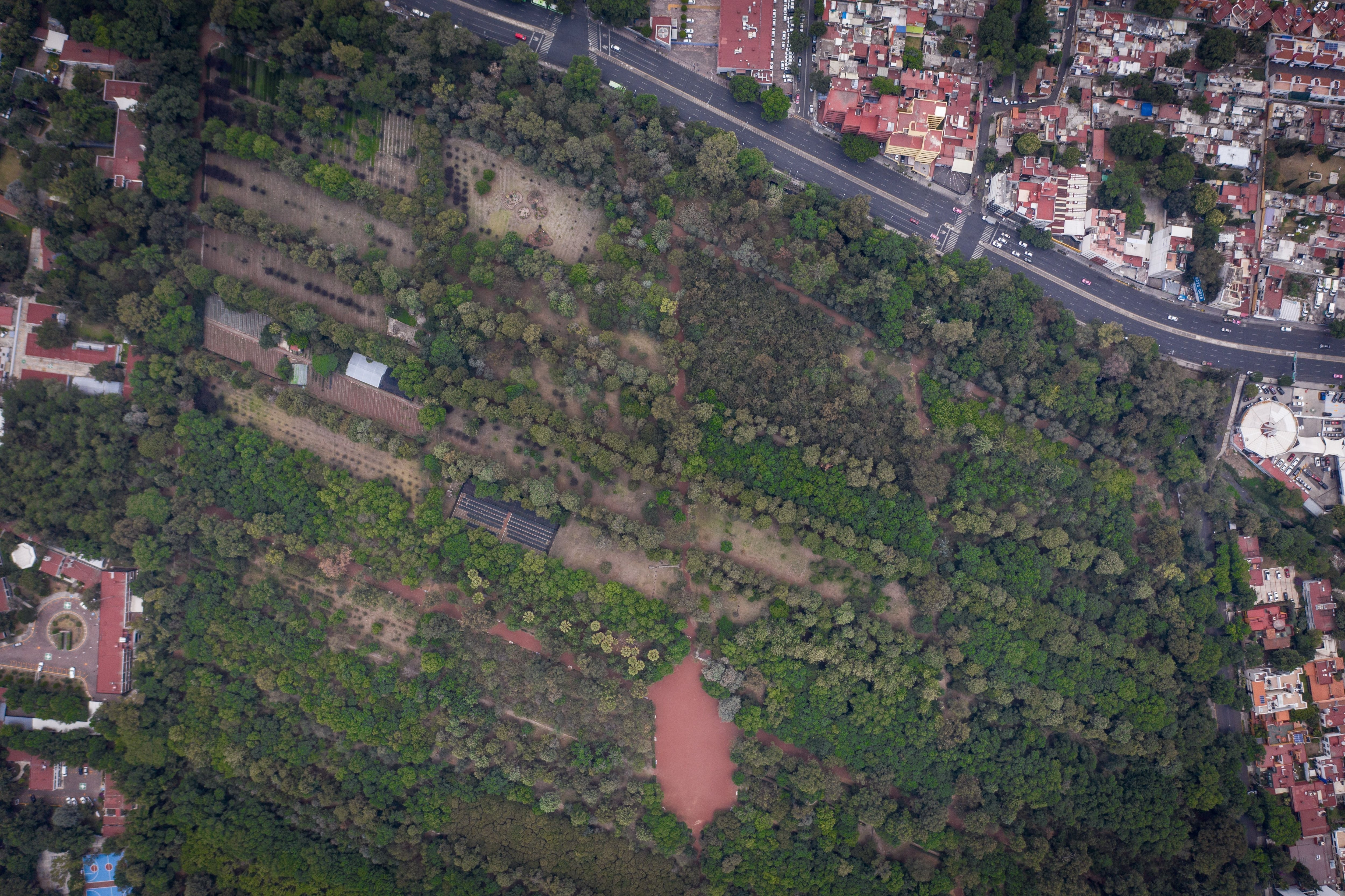 Los Viveros de Coyoacán en Ciudad de México cierran sus puertas hasta nuevo aviso