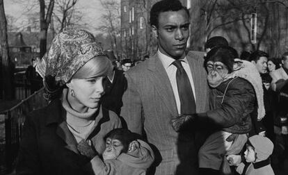 'Zoo de Central Park', Nova York, 1967, una de les fotos de Garry Winogrand que podran veure's al KBr de Barcelona.