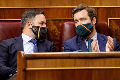 Los dirigentes de la formación de extrema derecha, Santiago Abascal e Iván Espinosa de los Monteros, en el Congreso.