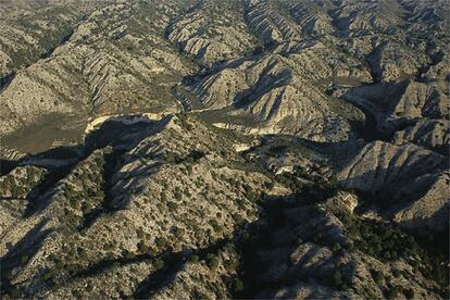 Los cerros de yeso -blancos y grisáceos- tienen gran valor al servir de soporte a la vegetación esteparia. En la imagen, montes de Alfajarín, con pinos dispersos.