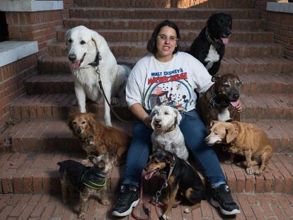 Cristina Mazarracín junto a sus perros 'Simba', 'Nube', 'Akon', 'Kiwi', 'Naya', 'Jack', 'Gusy' y 'Wifi' en el Campo de las Naciones (Madrid), donde suele ir a pasear con sus mascotas.