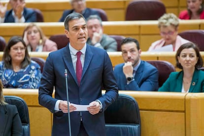 El presidente, Pedro Sánchez, en una sesión de control al Gobierno en el Senado.