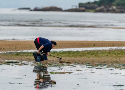 Una mariscadora en la Ría de Arousa, el pasado mayo.