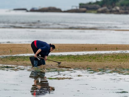 Una mariscadora en la Ría de Arousa, el pasado mayo.