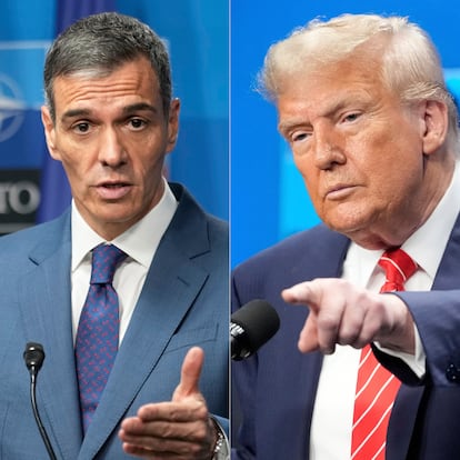 Trump y Sánchez