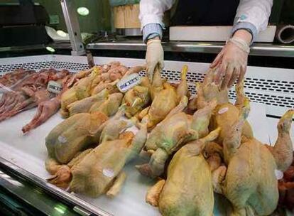 Expositor con pollos y conejos en una tienda del barrio de Sarrià, en Barcelona.