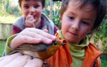 Niños en un taller de anillamiento científico de aves