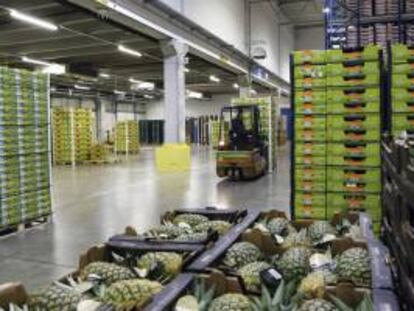 Vista de una planta alimenticia perteneciente a la corporación de supermercados "Edeka", en Hamburgo, Alemania. EFE/Archivo
