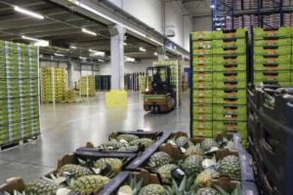 Vista de una planta alimenticia perteneciente a la corporación de supermercados "Edeka", en Hamburgo, Alemania. EFE/Archivo