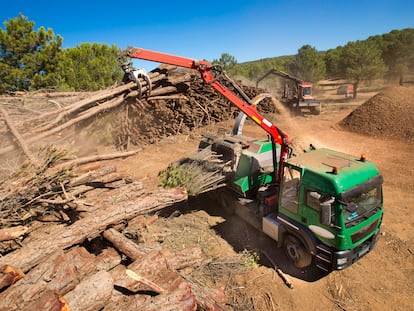 Energía cuya materia prima se oculta entre bosques y lodos