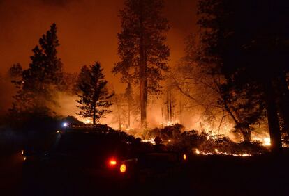 Bomberos intentan apagar un incendio forestas en San Bernardino, California (EE UU). Alrededor de 200 campistas, la mayoría de ellos niños, fueron evacuados de la zona.