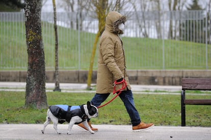 Una persona pasea a su mascota por Vitoria.