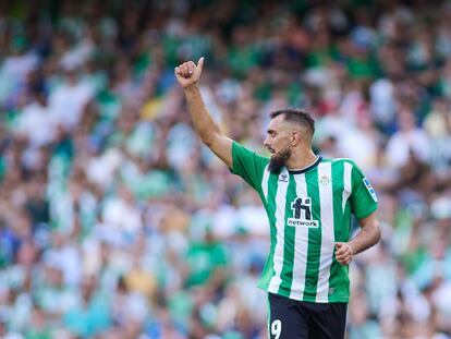 Borja Iglesias of Real Betis gestures during the spanish league, La Liga Santander, football match played between Real Betis and Girona FC at Benito Villamarin stadium on September 18, 2022, in Sevilla, Spain.
AFP7 
18/09/2022 ONLY FOR USE IN SPAIN