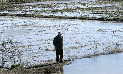 Un vecino de la localidad zaragozana de Gelsa observa los daños provocados por la crecida del Ebro.