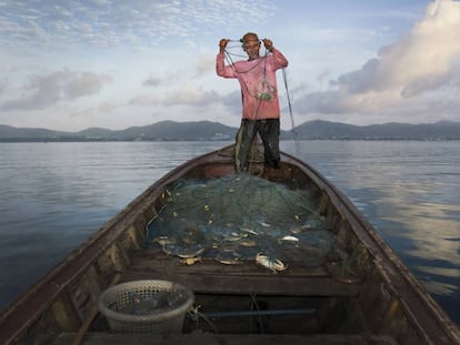 Ecoalf convierte las redes y botellas de pl&aacute;stico vertidas al Mediterr&aacute;neo en prendas de moda. 235 gramos de redes producen un metro de tejido ecol&oacute;gico. 