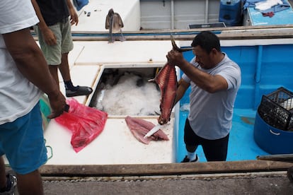 Pescadores comercian albacora en los muelles de Puerto Ayora. 