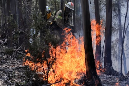 Dos miembros de la Guardia Nacional Republicana (GNR) portuguesa combaten el fuego en Alto da Louriceira (Portugal).