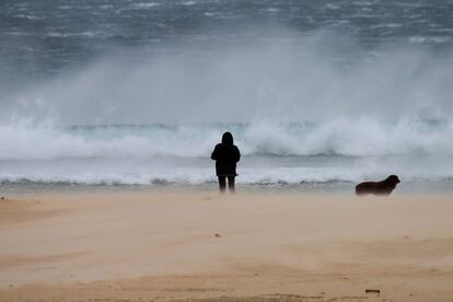 Una mujer pasea junto a su perro en la playa de los Lances en Tarifa (Cádiz) frente al fuerte oleaje que ha provocado el temporal que azota la zona.