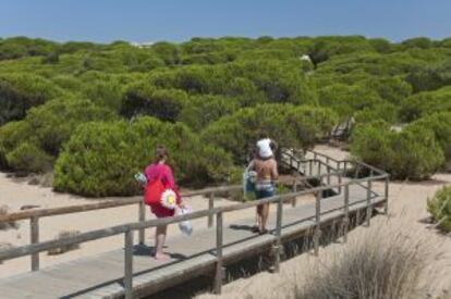 Pasarelas en el paraje natural de los Enebrales, en Punta Umbría.