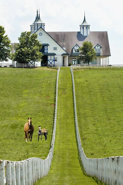Una granja en Kentucky (Estados Unidos).