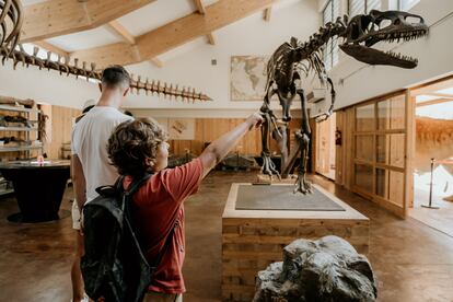 En La Rioja se puede viajar al pasado siguiendo las huellas de los dinosaurios: hay más de 11.000 icnitas perfectamente conservadas.
