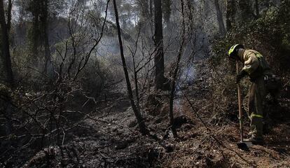 Un brigadista trabaja para acotar el perímetro del incendio de Cortes de Pallás.