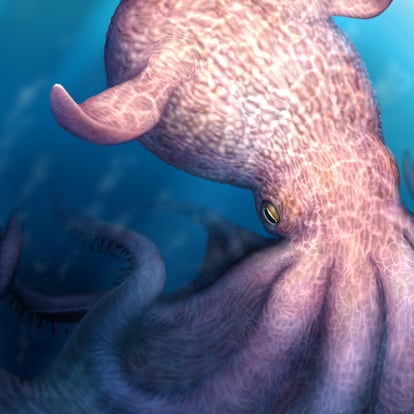Kraken pulpo carnívoro