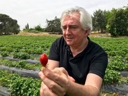 CHRISTOPHE PAIS CON UNA FRESA RECIEN RECOLECTADA / CAPEL