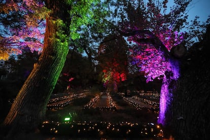 El Real Jardín Botánico, iluminado para Navidad.