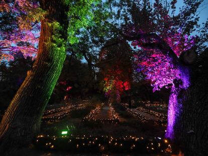 El Real Jardín Botánico, iluminado para Navidad.