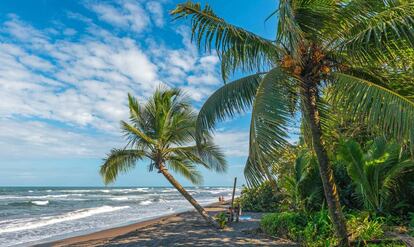 Playa de Tortuguero, municipio en el que veraneaba la turista española hallada muerta este sábado.