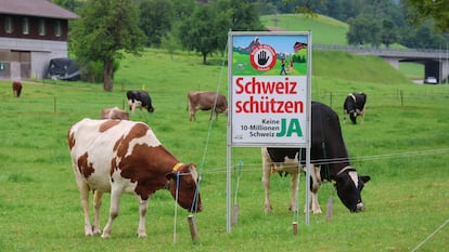 Inmigración sí o no, el debate recurrente en Suiza