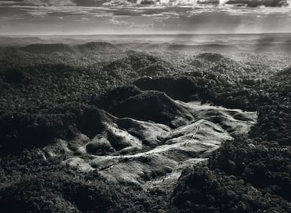 As pistas que permitem o acesso de madeireiros clandestinos à Amazônia avançam pela vegetação até o território povoado pelos awá no Maranhão. Os pecuaristas ilegais transformam a reserva florestal em pasto para os gados.