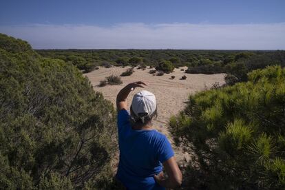 Vista del Parque Nacional de Doñana desde su punto más alto, a 32 metros sobre el nivel del mar.